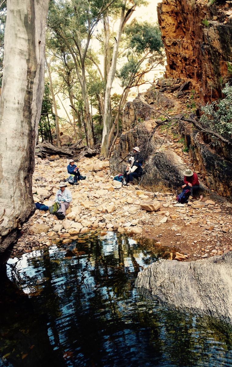 Grindell’s Hut Camp, Winter | Retire Active SA Bushwalkers
