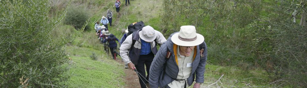 Retire Active SA Bushwalkers