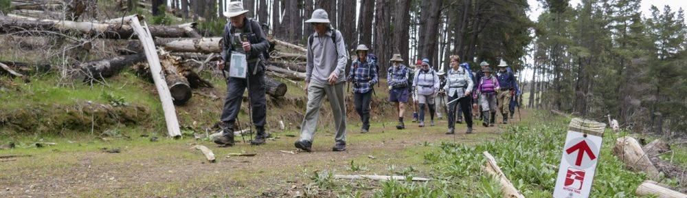 Retire Active SA Bushwalkers