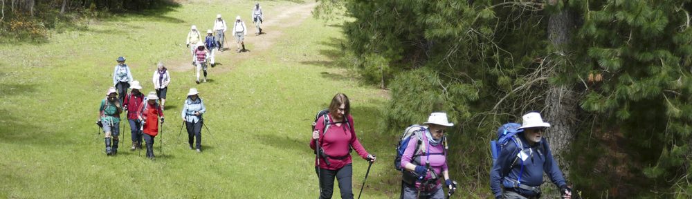Retire Active SA Bushwalkers