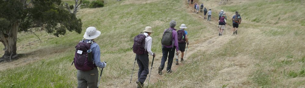 Retire Active SA Bushwalkers