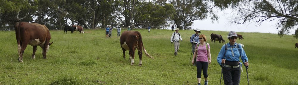 Retire Active SA Bushwalkers