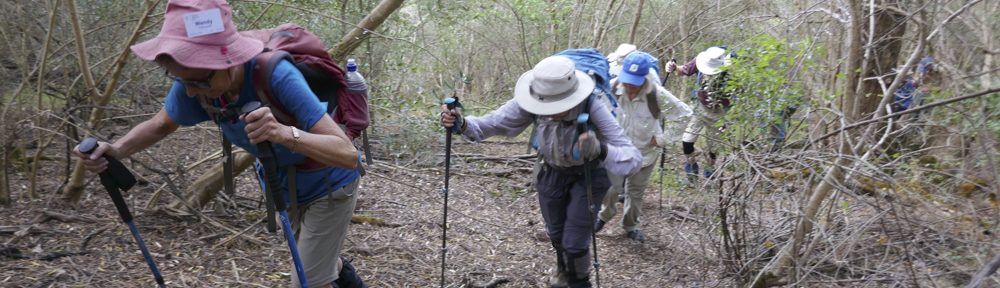 Retire Active SA Bushwalkers