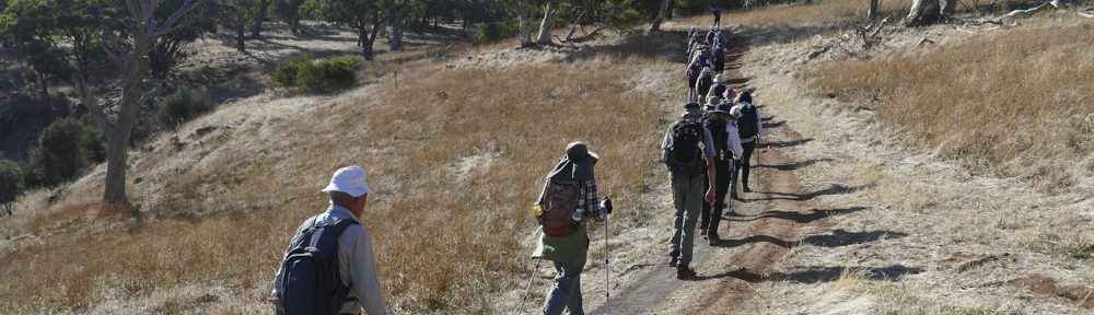 Retire Active SA Bushwalkers