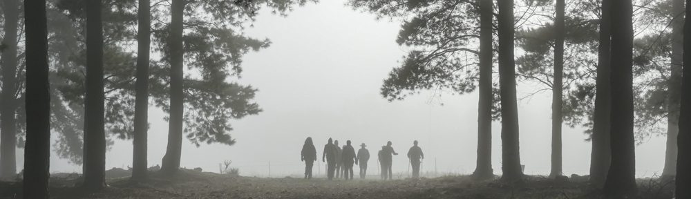 Retire Active SA Bushwalkers