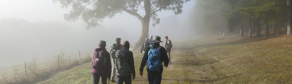 Retire Active SA Bushwalkers