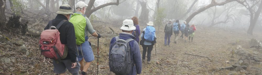 Retire Active SA Bushwalkers