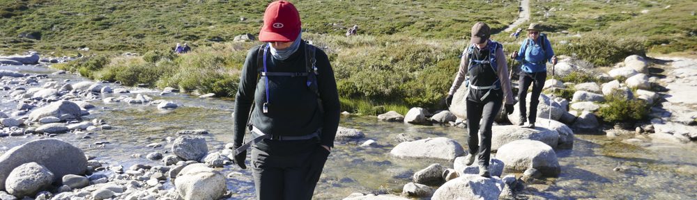 Retire Active SA Bushwalkers