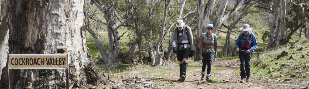 Retire Active SA Bushwalkers