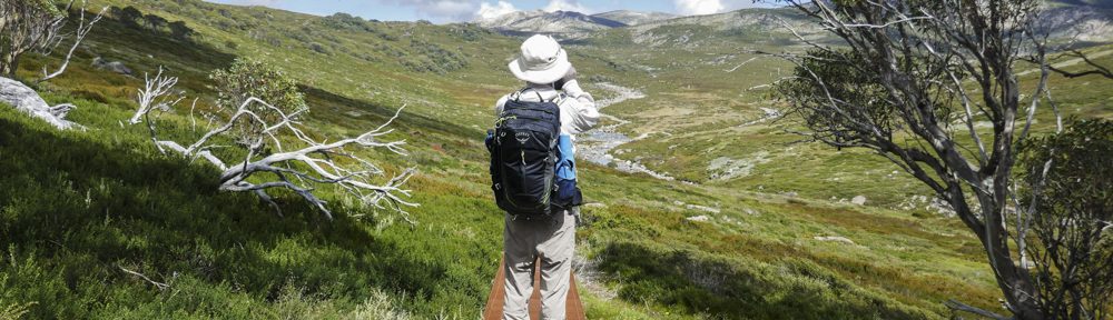 Retire Active SA Bushwalkers