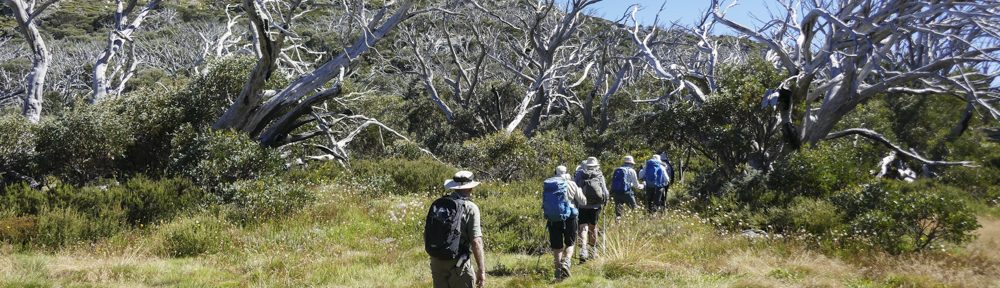 Retire Active SA Bushwalkers