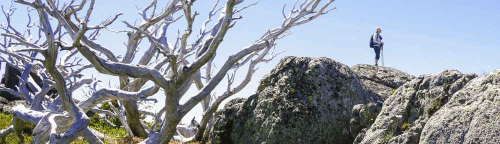 Retire Active SA Bushwalkers