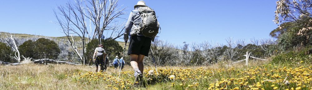 Retire Active SA Bushwalkers